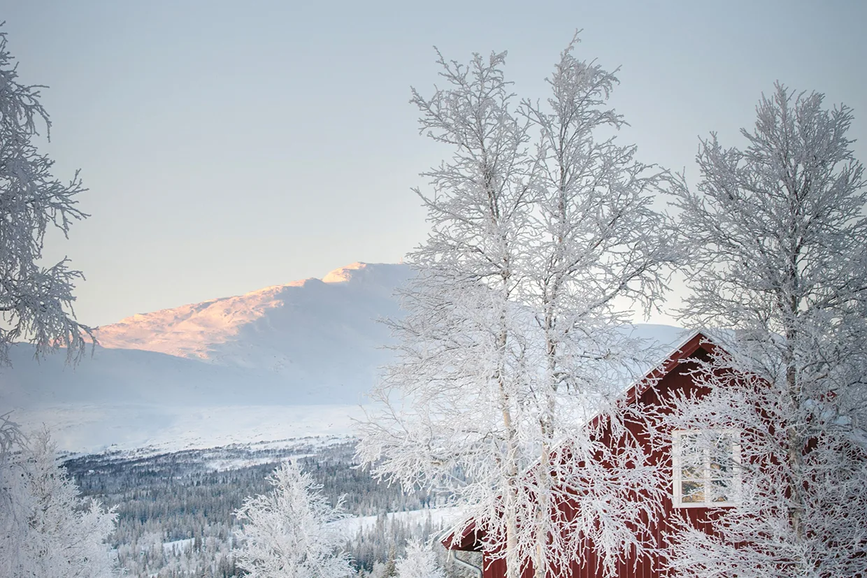 I förgrunden syns snötäckta träd och ett rött hus med ett vitt fönster, i bakgrunden ett berg som badar i mjukt solljus och en blek himmel.