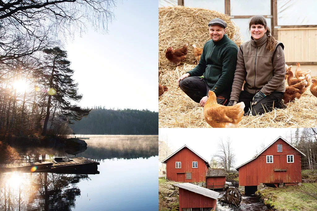 Ett collage som visar: en fridfull sjöstrand med en brygga i soluppgången, två människor som ler bland hönsen i en ladugård och två röda träbyggnader med en liten bäck som rinner under.