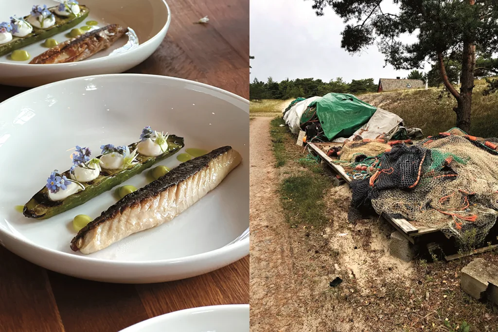 Vänster: Närbild av en upplagd gourmeträtt med grillad fisk, gröna grönsaker, små tillbehör och ätbara blommor på en vit tallrik. Till höger: Fiskenät och utrustning täckta med presenningar på en grusväg intill träd.