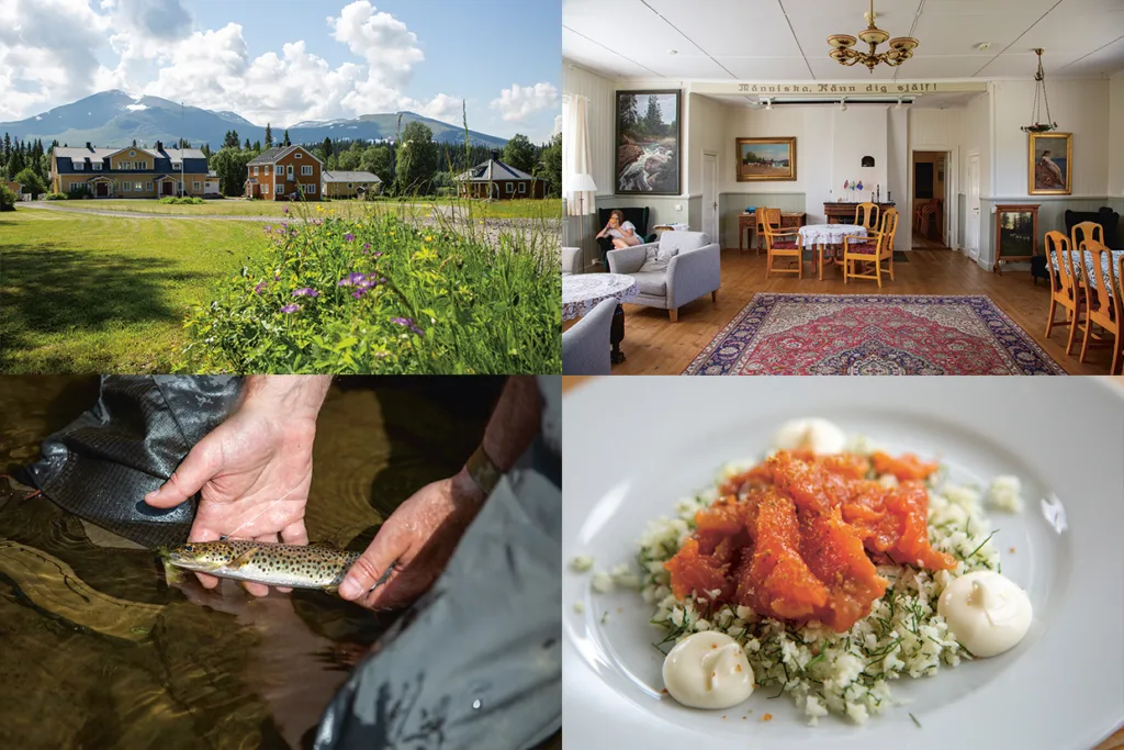 Ett collage av fyra bilder: en naturskön lodge med berg i bakgrunden, en mysig matsal, en person som släpper ut en fisk i vattnet och en tallrik med gourmetmat med grönsaker och sås.