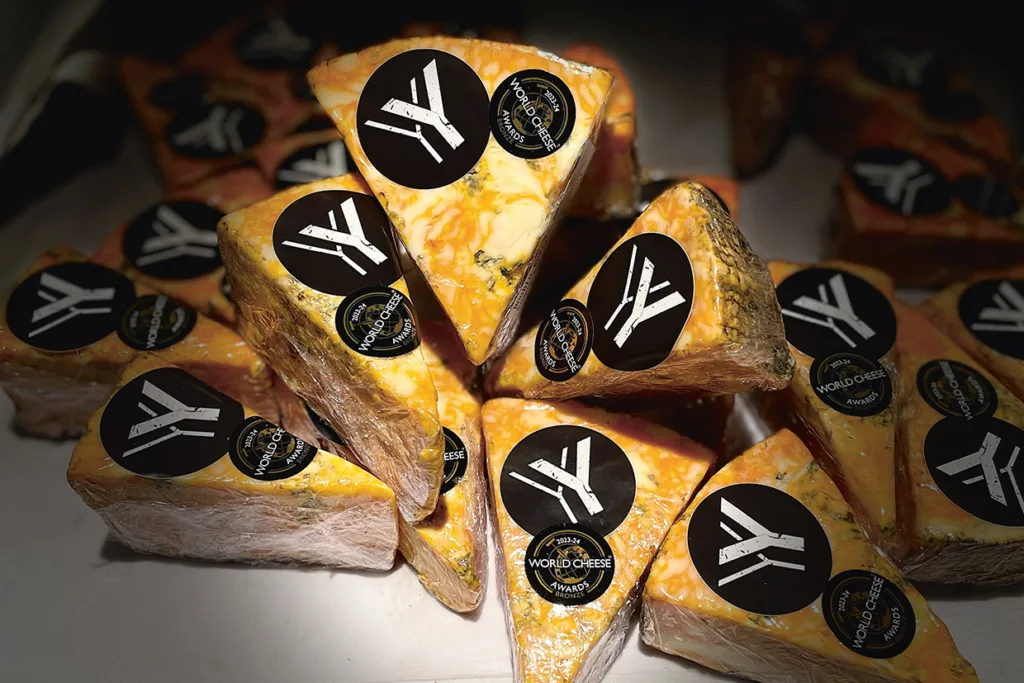 En hög med orange och vitt marmorerade ostklyftor, var och en toppad med ett svart klistermärke med texten World Cheese Awards Winner. Osten ser krämig ut med blå ådror, vilket tyder på att det kan vara en typ av blåmögelost.