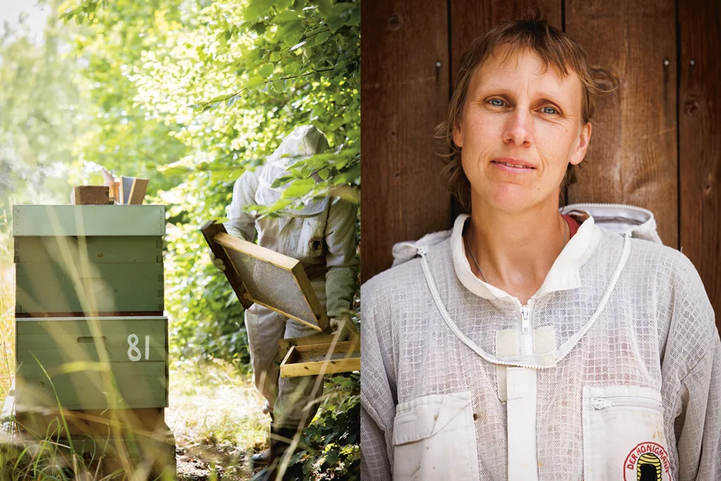 Delad bild: Till vänster inspekterar en biodlare i skyddsutrustning en grön bikupa i ett frodigt, solbelyst område. Till höger står Lina i biodlardräkt framför en trävägg och tittar lugnt in i kameran.