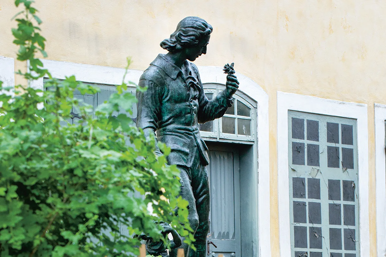 En bronsstaty av en person som håller i en liten druvklase står framför en ljusgul byggnad med vitmålade fönster. Gröna bladverk skymmer delvis statyns nedre halva.