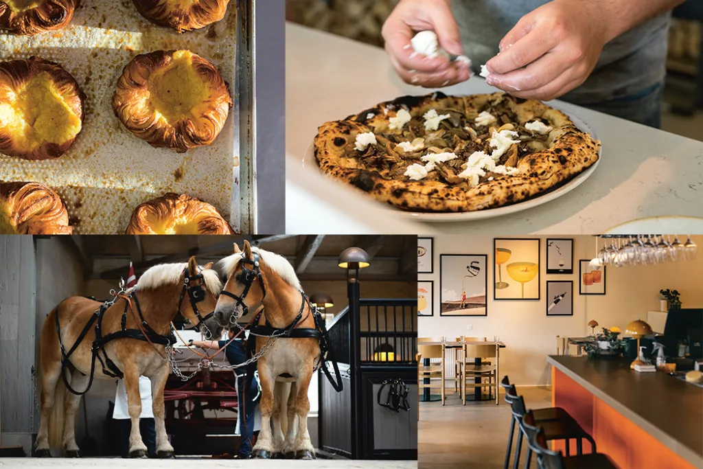 Ett collage som visar bakverk, någon som lägger ost på en pizza, två hästar i ett stall och en modern restauranginredning med bord, stolar och väggkonst.