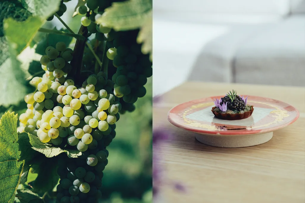 Närbild på gröna druvor som hänger på en vinranka (vänster) och en liten, konstfullt upplagd förrätt toppad med örter och ätbara blommor på en dekorativ tallrik (höger).