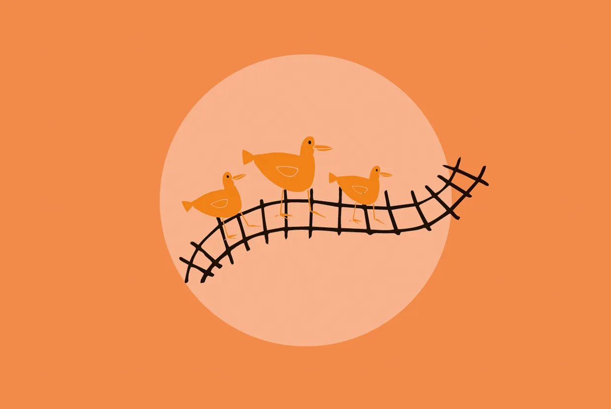 Tre orangefärgade fåglar står på rad på ett krökt, trasigt järnvägsspår mot en orange bakgrund med en stor ljusorange cirkel bakom dem.