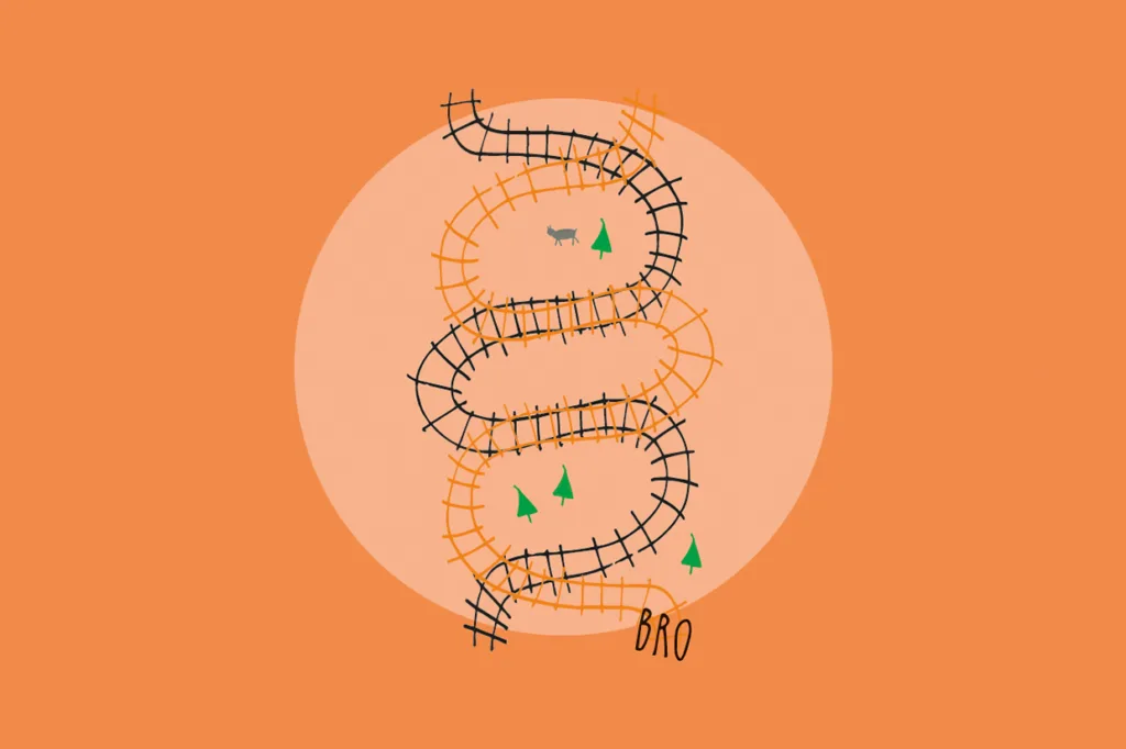 Ett illustrerat slingrande järnvägsspår med brutna sektioner, som slingrar sig genom små gröna träd. Ett grått djur står nära mitten och ordet "BRO" visas längst ner. Bakgrunden är orange.