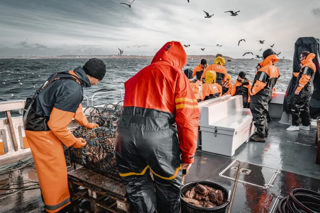Fiskare i vattentäta kläder hanterar krabbtinor och sorterar skaldjur på ett båtdäck till havs, med måsar som flyger över huvudet och en avlägsen kustlinje som syns under en molnig himmel.