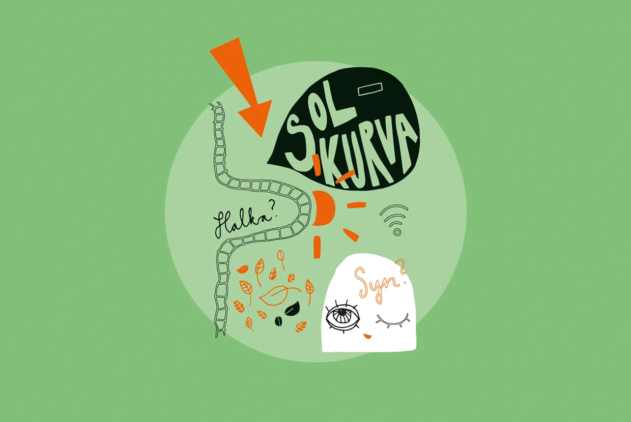 En lekfull illustration på en grön bakgrund med abstrakta former, klotter och handskrivna ord som SOL KURVA, Halka? och Syn? tillsammans med symboler som ett öga, en trappa, löv och en Wi-Fi-signal.