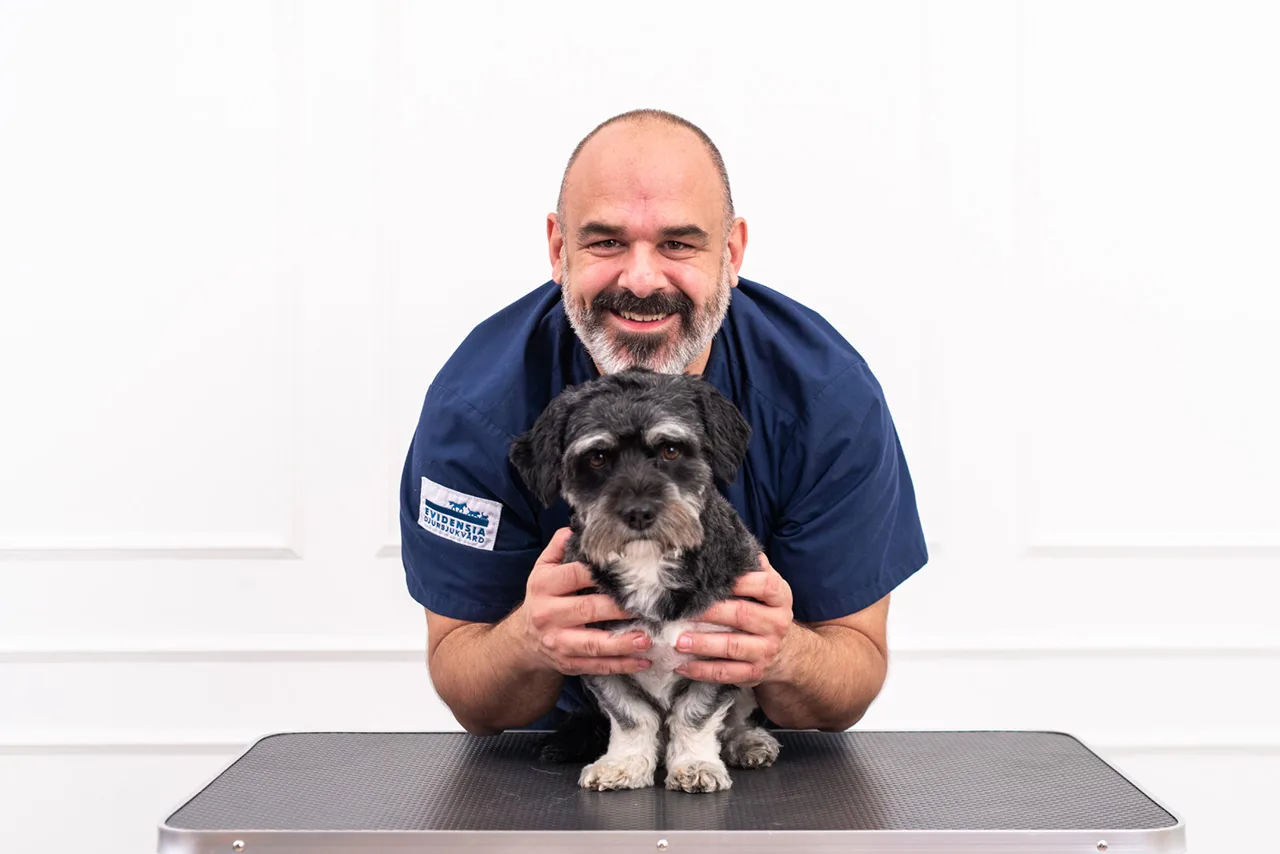 En leende man i blå operationskläder står på knä bakom en liten svartvit hund och håller försiktigt om dess ansikte i ett starkt upplyst rum med vit bakgrund.